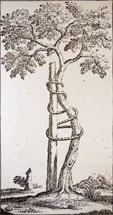 PHILOSOPHIE der Praxis Claa&szlig;en